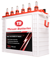 Thrust Batteries tall tubular battery